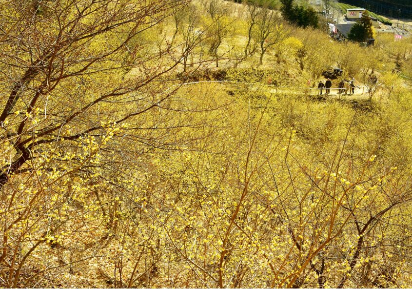 神奈川県松田町の風景