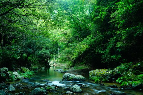 大阪府島本町の風景