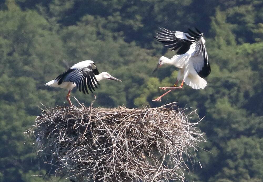 徳島県鳴門市の風景