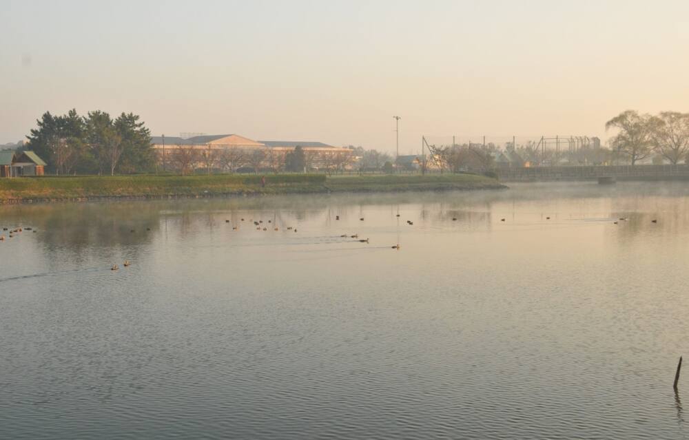 茨城県河内町の風景